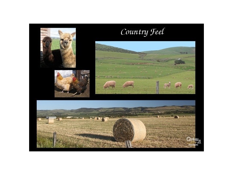 16 Arcadia Crescent, Sellicks Beach SA 5174