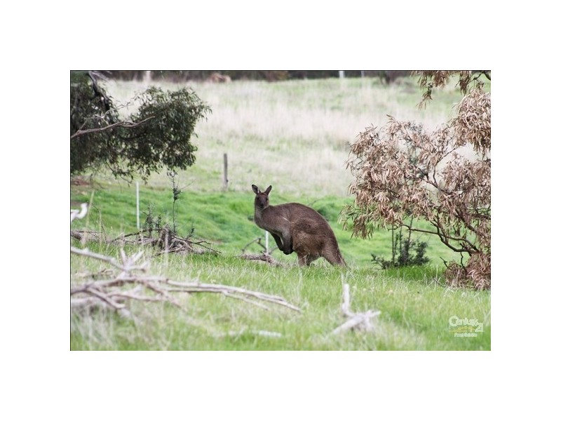 Lot 371 St Johns Terrace, Willunga SA 5172