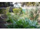 29 Nardoo Road, Aldinga Beach SA 5173
