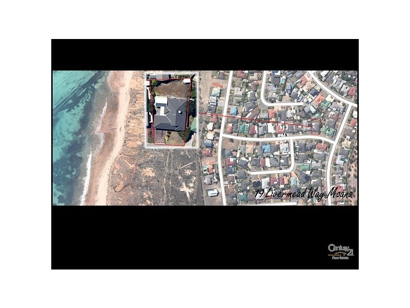 19 Livermead Way, Moana SA 5169