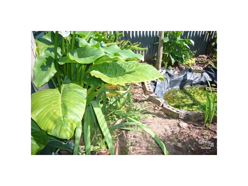 4 Bowering Hill Road, Port Willunga SA 5173