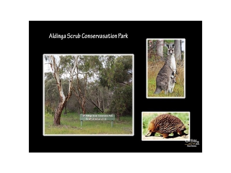 15 Tidewater Street, Aldinga Beach SA 5173