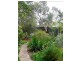 13 Dingo Road, Aldinga Beach SA 5173