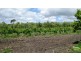 Lot 20 Malpas Road, Willunga SA 5172