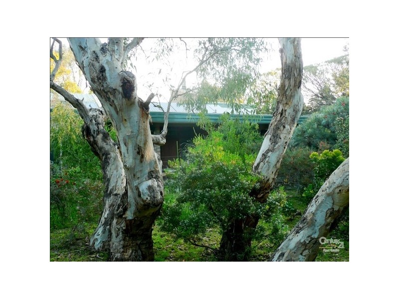 Lot 2 Dingo Road, Aldinga Beach SA 5173