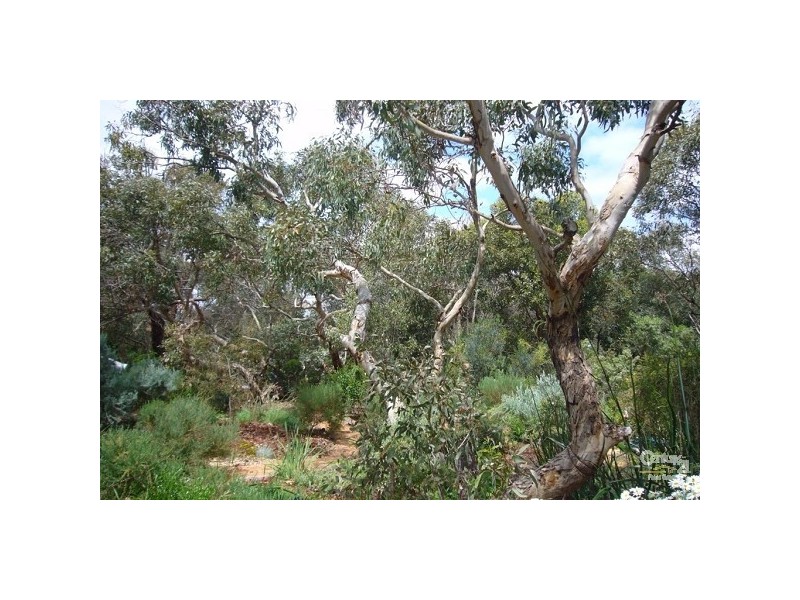 Lot 2 Dingo Road, Aldinga Beach SA 5173