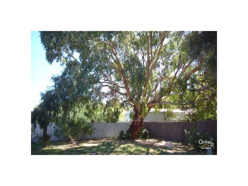 19 Boomerang Avenue, Aldinga Beach SA 5173