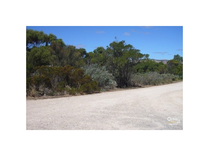 19 Boomerang Avenue, Aldinga Beach SA 5173
