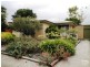 16 Joel Street, Morphett Vale SA 5162