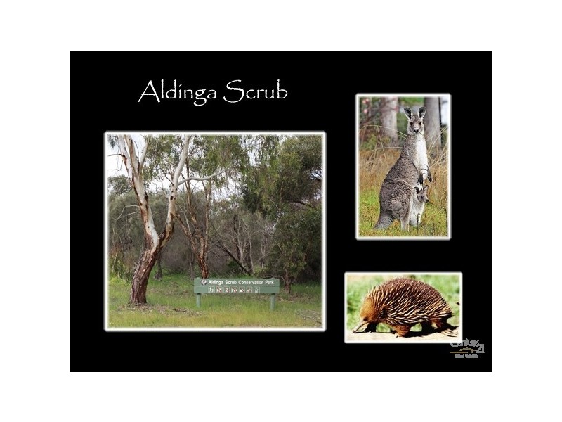 9 Wurlie Road, Aldinga Beach SA 5173