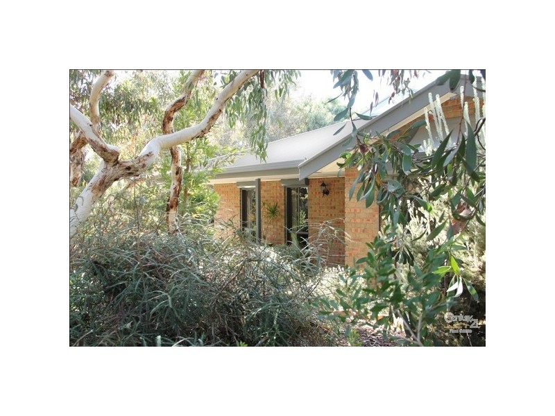 13 Quail Street, Aldinga Beach SA 5173