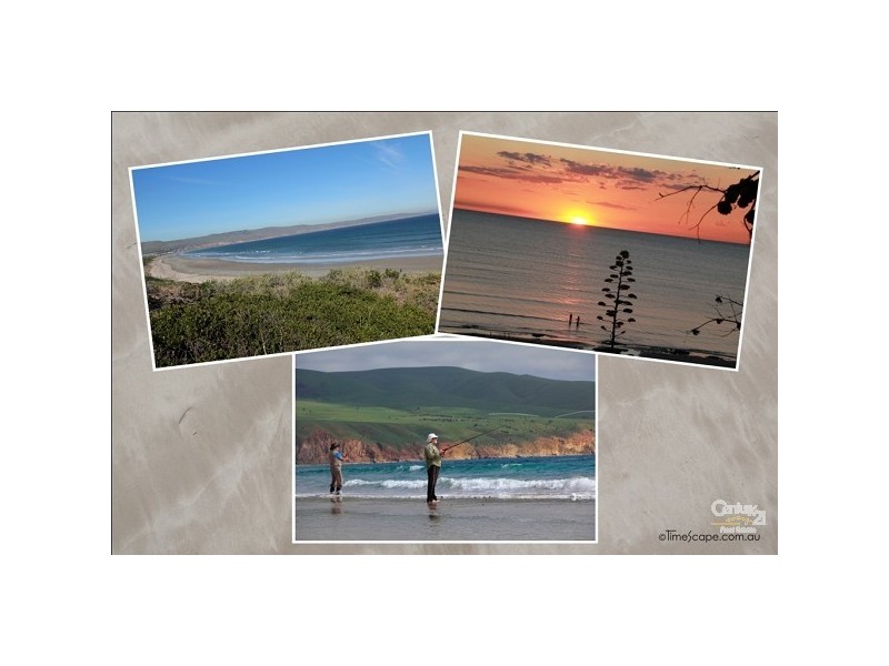 13 Quail Street, Aldinga Beach SA 5173