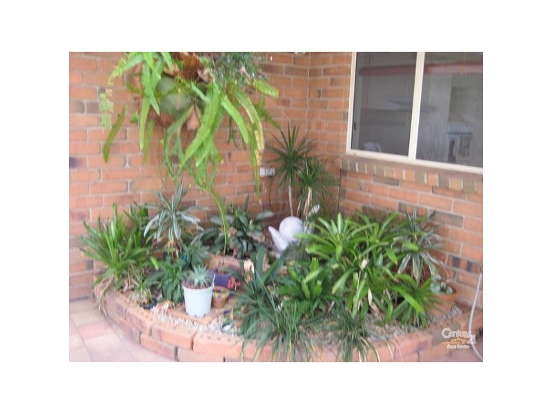 20 Cuttle Street, Aldinga Beach SA 5173