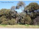 43 Oleander Road, Maslin Beach SA 5170