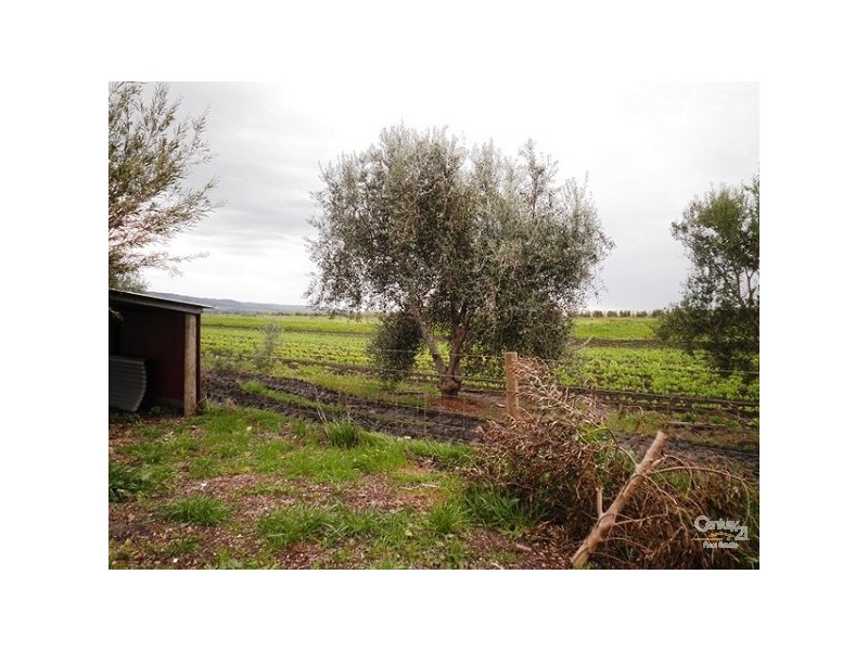 147a Malpas Road, Willunga SA 5172