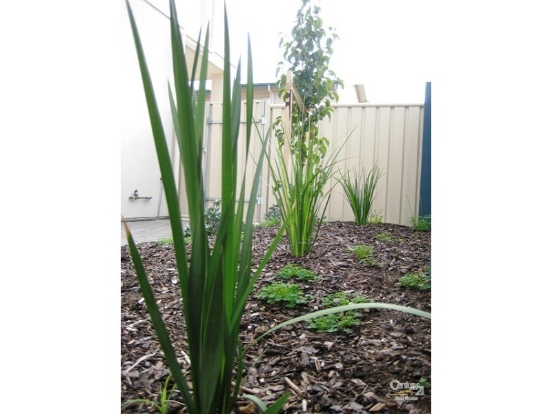 1/6 Aldinga Beach Road, Aldinga Beach SA 5173