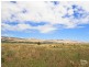 23 Ningana Road, Aldinga Beach SA 5173