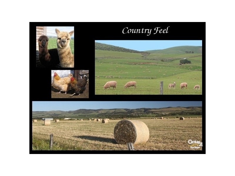 9 Oriana Drive, Sellicks Beach SA 5174