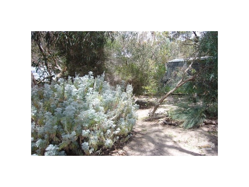 45 Bristol Street, Aldinga Beach SA 5173