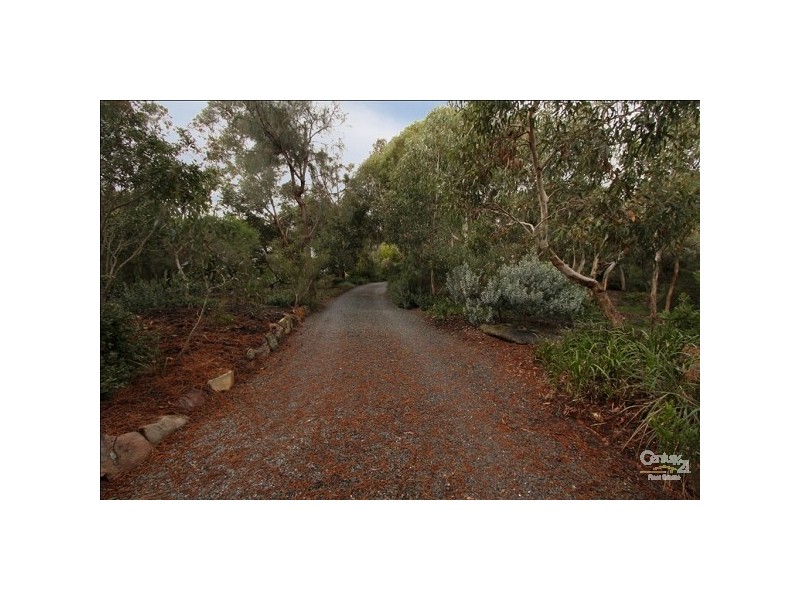 13 Quail Street, Aldinga Beach SA 5173
