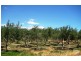 58a Norman Road, Aldinga Beach SA 5173