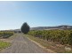 3708 Main South Road, Aldinga Beach SA 5173