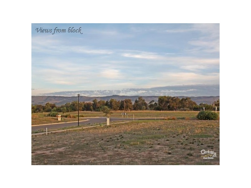 54 Bushtail Avenue, Aldinga Beach SA 5173