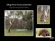 54 Bushtail Avenue, Aldinga Beach SA 5173