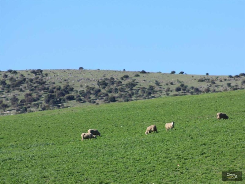 126 Wellington Avenue, Sellicks Beach SA 5174