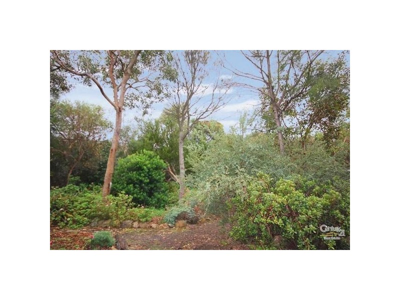 37 Kestrel Terrace, Aldinga Beach SA 5173