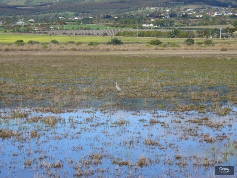 6 Darwalla Road, Aldinga Beach SA 5173