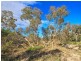 15 Sheoak Avenue, Aldinga Beach SA 5173