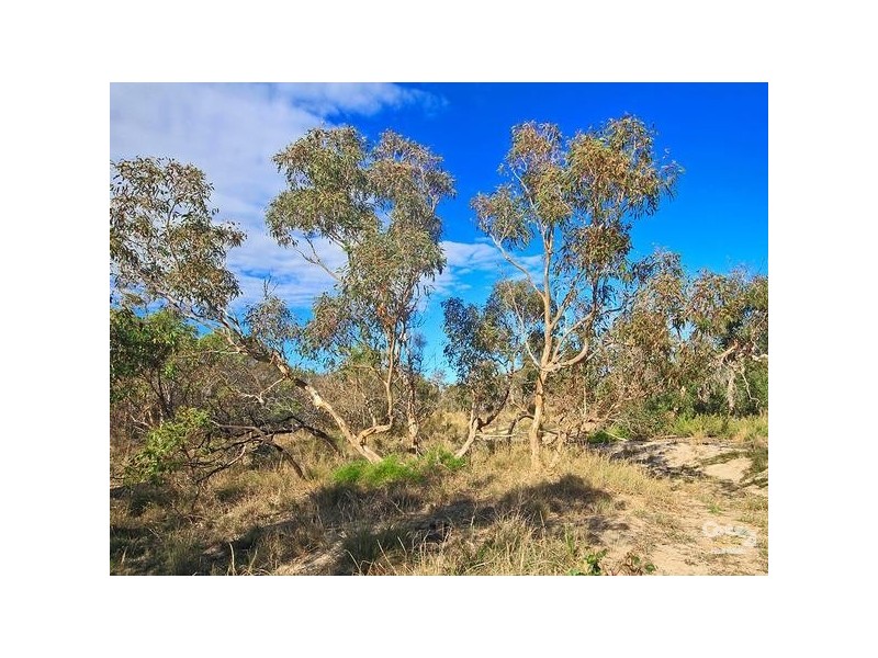 15 Sheoak Avenue, Aldinga Beach SA 5173