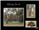 46 Irving Road, Aldinga Beach SA 5173