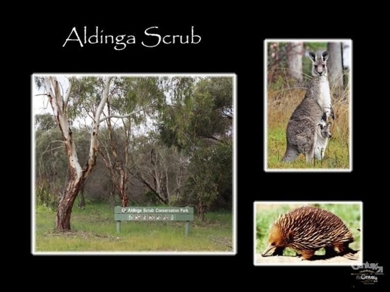 46 Irving Road, Aldinga Beach SA 5173