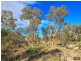 15 Sheoak Avenue, Aldinga Beach SA 5173