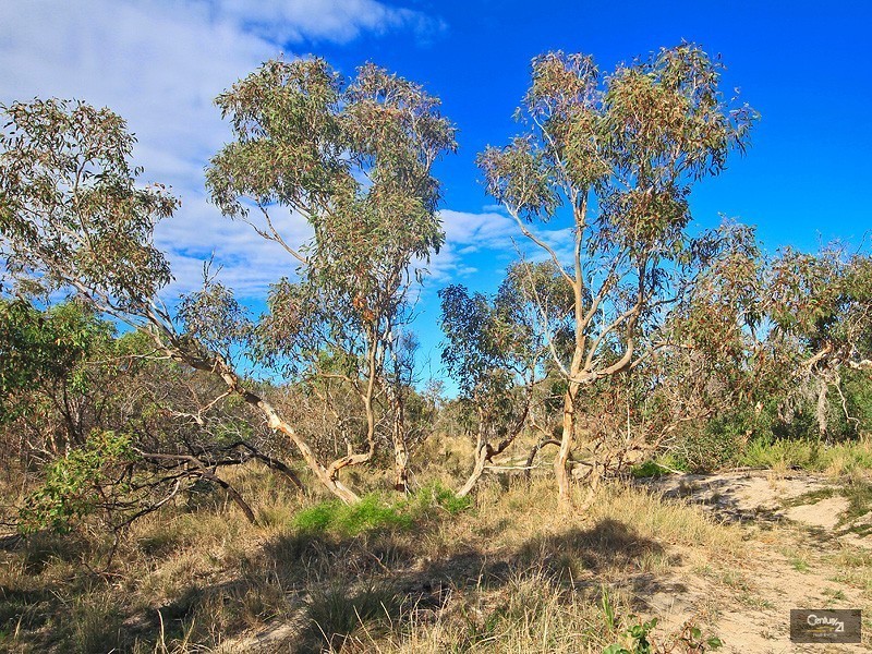 15 Sheoak Avenue, Aldinga Beach SA 5173