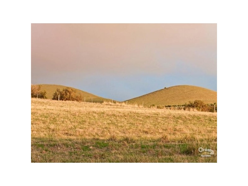 126 Wellington Avenue, Sellicks Beach SA 5174