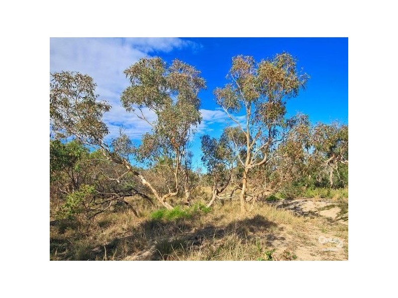 15 Sheoak Avenue, Aldinga Beach SA 5173
