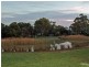 6 Lichen Walk, Aldinga Beach SA 5173