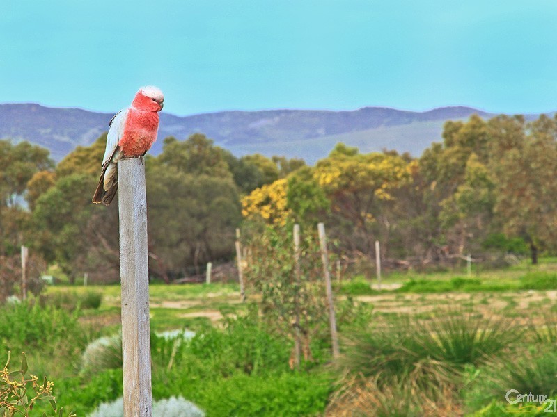 194 Rowley Road (South), Aldinga Beach SA 5173