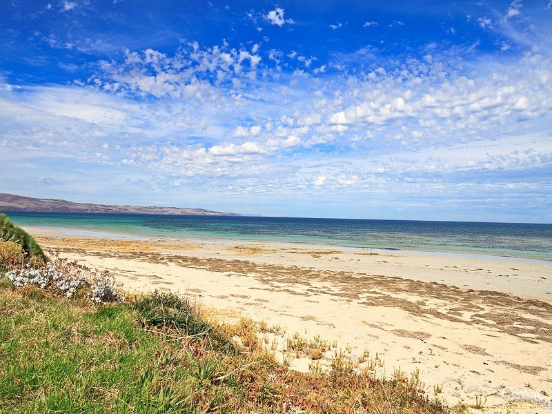 54 Croser Avenue, Aldinga Beach SA 5173