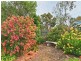 5 Redgum Avenue, Aldinga Beach SA 5173