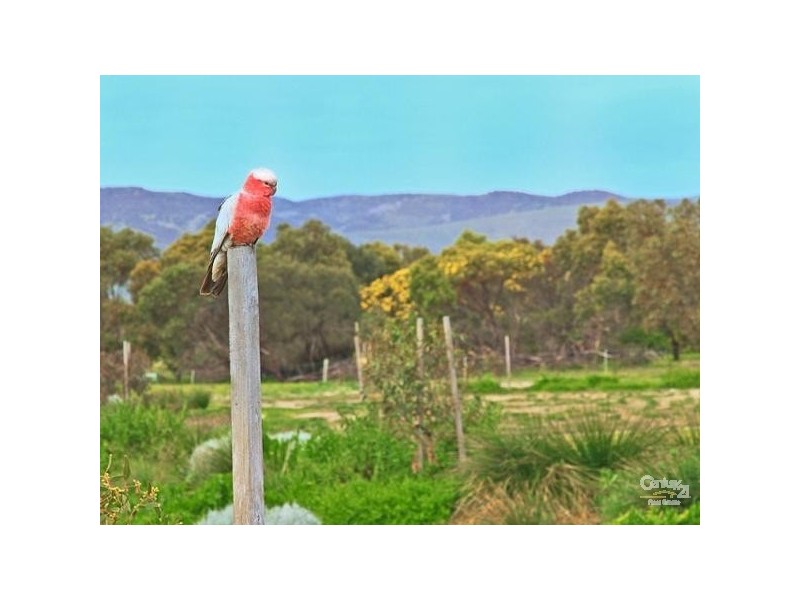 194 Rowley Road, Aldinga Beach SA 5173