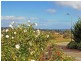 19 Waterford Circuit, Seaford Rise SA 5169