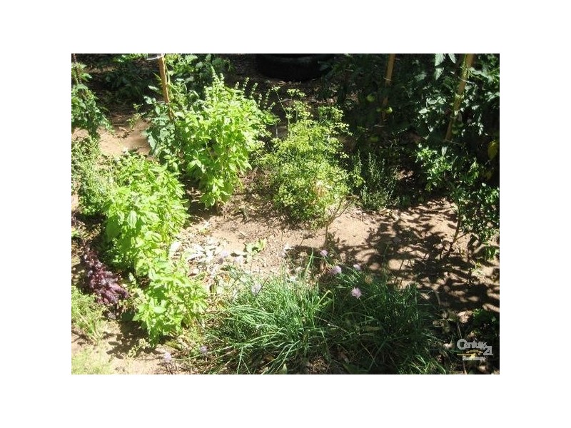 15 Napier Avenue, Sellicks Beach SA 5174