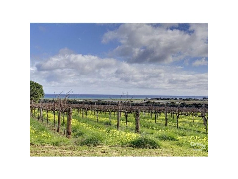81 Justs Road, Sellicks Beach SA 5174