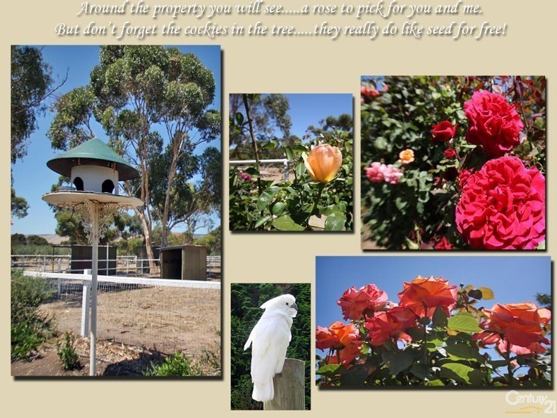 Lot 3 Aldinga Beach Road, Aldinga Beach SA 5173