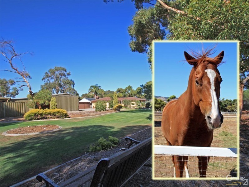 Lot 3 Aldinga Beach Road, Aldinga SA 5173