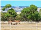 Lot 3 Aldinga Beach Road, Aldinga SA 5173